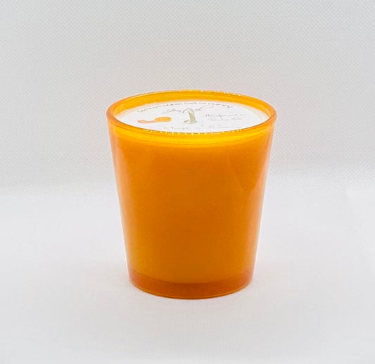 Cantaloupe & Orange Soy Candle